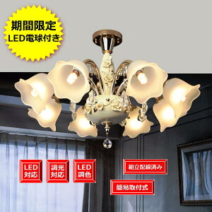 LEDdt V[O  Vv rO AeB[N NX^ }VɂKp Ɩ CeA Cg mVfA g gς zς dCHsvV