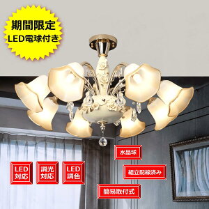 VƖ KN`[t VfA   AeB[N V[OΉ  Ɩ CeA Cg g NX^ kX^C ͋CƖ }V  Vbv 6