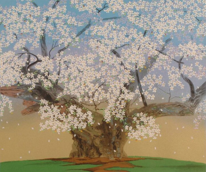 楽天市場】中島千波 淡墨桜 桜 絵画 和風 岐阜県本巣市根尾 日本画家 