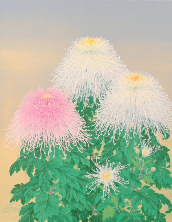 楽天市場】菊 絵画 花 和風 リトグラフ 版画 森田りえ子 「秋華」 額 