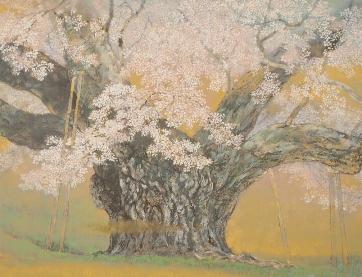 楽天市場】桜 絵画 彼岸桜 岐阜県本巣市 和風 リトグラフ 版画 伊藤 