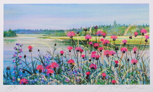 yƖzΈ䐴@yizΔȂ̖AU~