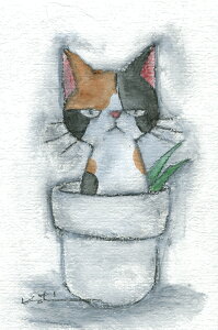 yƖzav@yizԁ[OєL@L@G@OєL@~NXgfBA@zt@