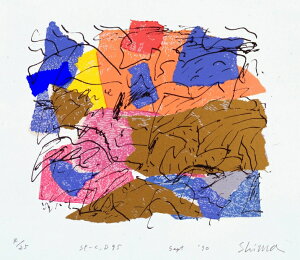 A[g G ۉ p VNXN[ ŉ B uSP-C,D 95v zt@