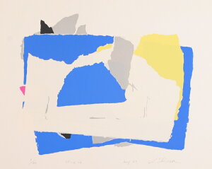 A[g G ۉ p VNXN[ ŉ B uSP-C12v zt@