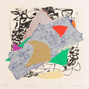 A[g G ۉ p _A[g VNXN[ ŉ B uSP-C,D 133v zt@