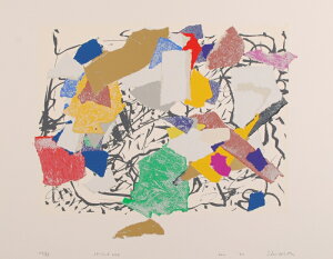 A[g G ۉ p VNXN[ ŉ B uSP-C,D 102v zt@