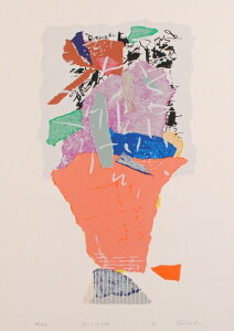 A[g G ۉ p VNXN[ ŉ B uSP-C,D 134v zt@