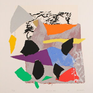 A[g G ۉ p VNXN[ ŉ B uSP-C,D 140v zt@