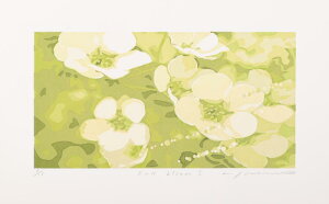 yƖzgqyizFull Bloom1 @ԁ@G@VNXN[@ŉ@zt@