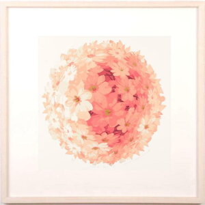gq Floral ball 1  G  CeA VNXN[ ŉ v[g RNV Vzj JXj Vizt  