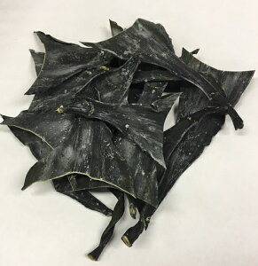 y1000~|bLzkCY pz 100g iَY ^z̍jȔlYłyz z ˂ԁ@z@kC  lY^z@^z@z