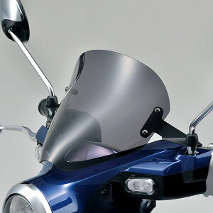 タケガワ 09-11-0089 メーターバイザーキット スーパーカブ C125