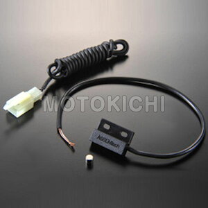 ACEWELL SY0051 �}�O�l�b�g�Z���T�[�Z�b�g ACEWELL�I�v�V����