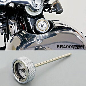fCgi DAYTONA 93337 fBbvXeBbNtv }n SR400/500i'78`'08j SR400i'10jFI