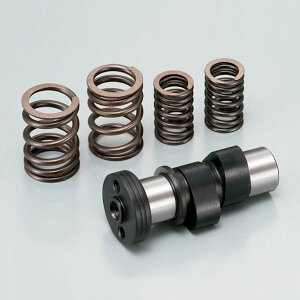 �f�C�g�i DAYTONA 47445 �n�C�J���V���t�g APE XR���^�[�h