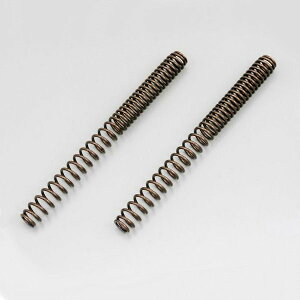 fCgi DAYTONA 70110 tgtH[NXvO AhXV125/G(K7/9)