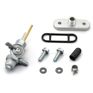 fCgi DAYTONA 98713 KEDO t[GRbN@}n SR400/500i'78`'08j