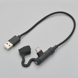 fCgi DAYTONA 15609 oCNpUSB[dP[u Type-A to Type-C L^