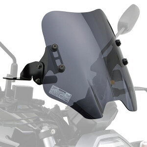 fCgi DAYTONA 17447 EChV[h SS X[N XYL GIXXER 250 GIXXER 250