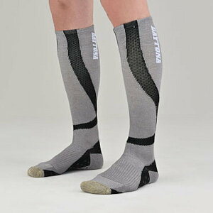 y݌ɂzfCgi DAYTONA 31440 Jy\bNX O[ 25`27cm