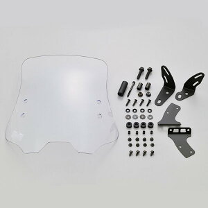 fCgi DAYTONA 31453 EChV[h RSV[Y z_ NXJu110