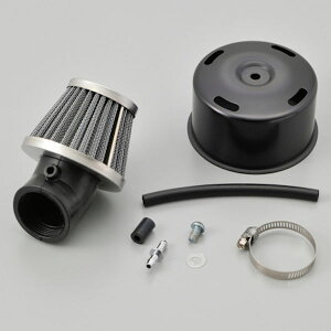 fCgi DAYTONA 45504 p[tB^[ rKX 5jbvt A[N ubN 35mm ėp