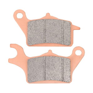 DAYTONA 15200 S[fpbh fCgiu[Lpbh [h125 DIO110 DUNK AhX110/125