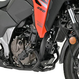 fCgi DAYTONA 43511 pCvGWK[h Lower XYL VXg[250SX