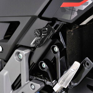 fCgi DAYTONA 48727 _Cwbgz_[ XYL V-strom250 wbgbN ySUZUKIz