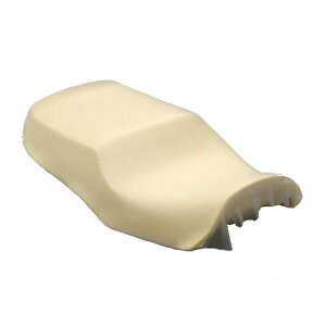 fCgi DAYTONA 73644 RIPMOV[g E^Pi JTL ZRX1200 ZRX1100