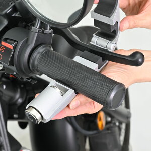 �y�݌ɂ���z�f�C�g�i DAYTON 48691 GIVI TL11-C �u���[�L���o�[���b�N ����h�~ ��