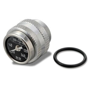 fCgi DAYTONA 95109 RRfBbvXeBbNxv KAWASAKI W400 W650 W800 ubN