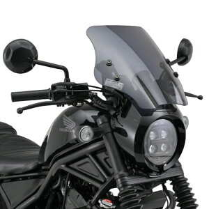 �f�C�g�i DAYTONA 20133 �E�C���h�V�[���hSS �X���[�N Rebel250 S Edition '20�`'25 ���u��250 S Edition