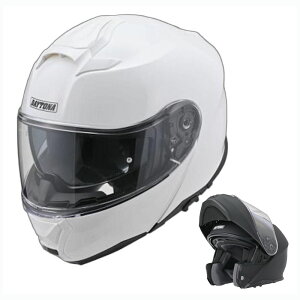 fCgi DAYTONA DN-010BT VXewbg zCg 61136 61138 61145 61154 S`XL