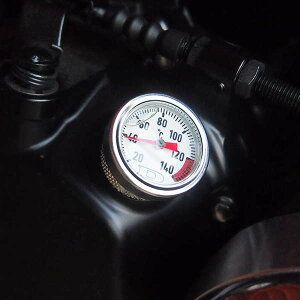 yyΉzh~RNV 96101 Z900RS v ICLbv DOREMI COLLECTION