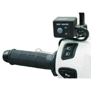 �z���_���� 08T70-K2C-J00 �O���b�v�q�[�^�[(���E�Z�b�g) (Dio110 Lite)