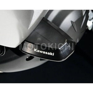 KAWASAKI���� E123CPS0019 �J���T�L �G���W���K�[�h Versys '10�`'13�N