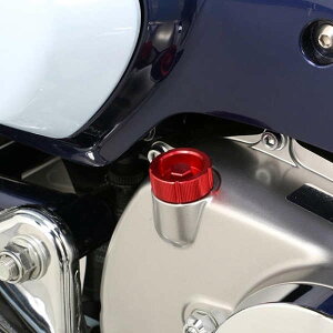 L^R 307-1310820 ICtB[Lbv M20×P2.50 bh X[p[Ju C125 L[125