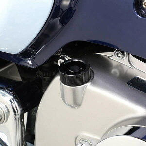 L^R 307-1310850 ICtB[Lbv M20×P2.50 ubN X[p[Ju C125 L[125