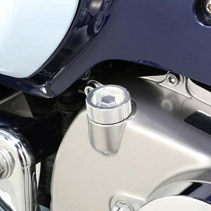 L^R 307-1310860 ICtB[Lbv Vo[ M20×P2.50 X[p[Ju C125 L[125