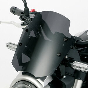 L^R 670-1850100 GAoCU[ X[N CB250R CB125R