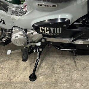 y[J[݌ɂzNK-169 jVg ({H) TChX^h NXJu110 8BJ-JA60