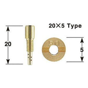 POSH |bV 767305-10 pCbgWFbgZbg (3F#55E60E65) 20×5 JOG-Z OhANVX