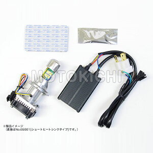 vebN 65002 LB4-L LEDwbhCgouLbg H4 Hi/Lo 6000K DC12V 30W