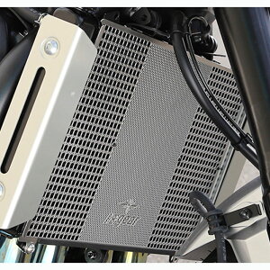 �A�[���Y�M�A r's gear ���W�G�^�[�R�A�K�[�h �V���o�[ HONDA CB1000F CB1000 HORNET AC00-048H-LS AC00-048H-SS