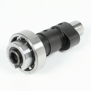 SP ^PK 01-08-0175 X|[cJVtg YAMAHA XTZ125 YX125 DX YB125 SP