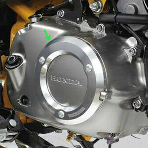 SP ^PK 02-01-0119 R.NNP[XJo[veN^[ Vo[ L[125 X[p[JuC125