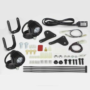 SP���� Takegawa 05-08-0539 LED�t�H�O�����v�L�b�g950 2�� �z���_ PCX(JK05)�EPCX160(KF47)