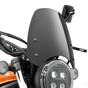 SP takegawa 09-11-0337 [^[oCU[Lbg ubNhdグ CL250 CL500